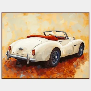 Obrazy aut v ucelené kolekci